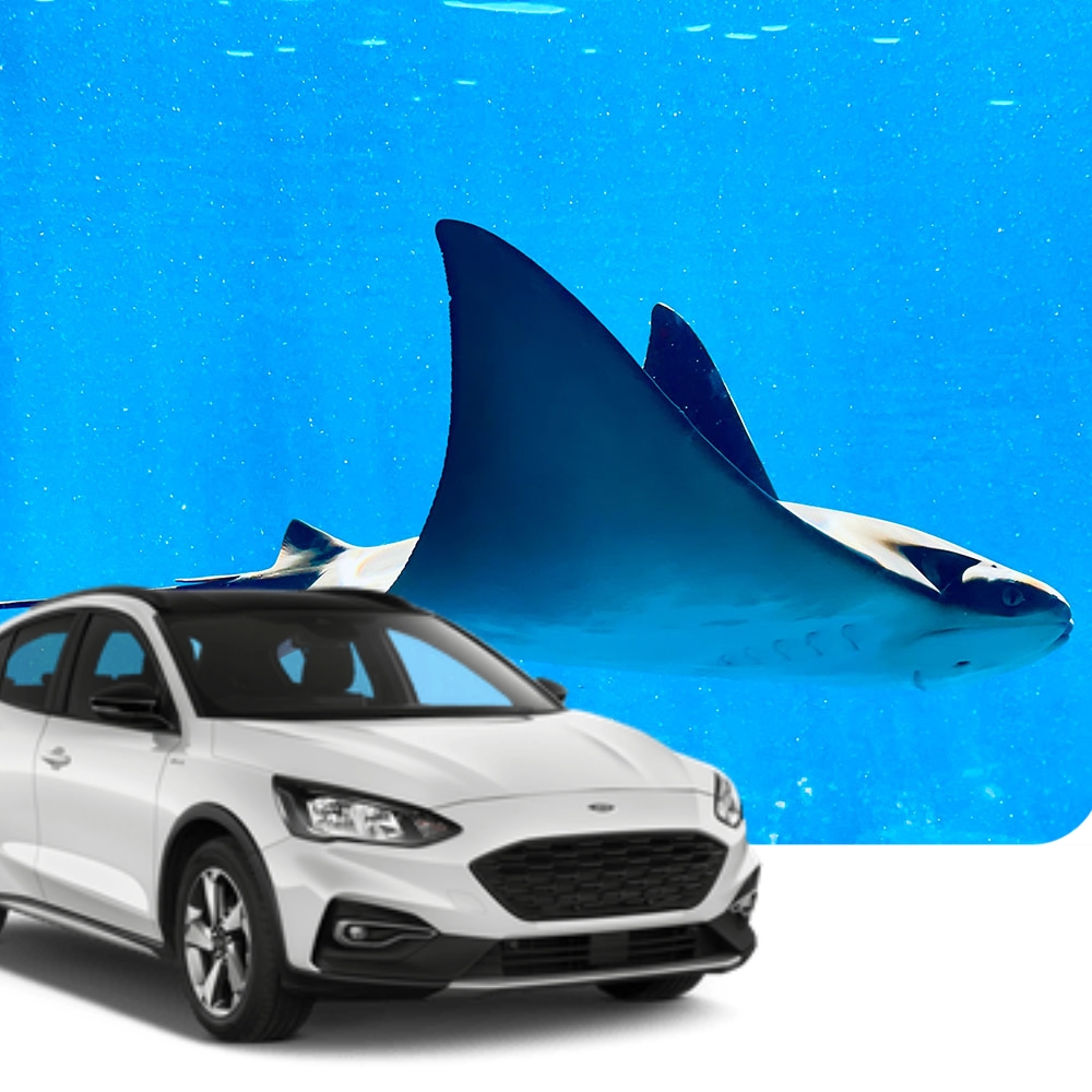 The best prices for car rental in Santa Maria